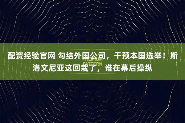 配资经验官网 勾结外国公司，干预本国选举！斯洛文尼亚这回栽了，谁在幕后操纵